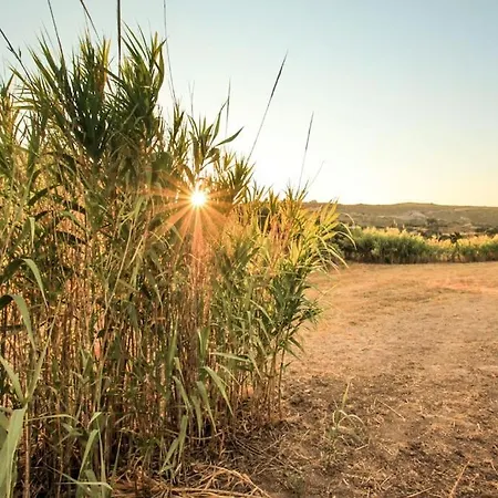 Traditional Langada *