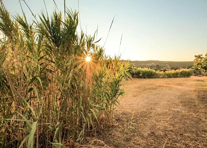 Traditional Langada *